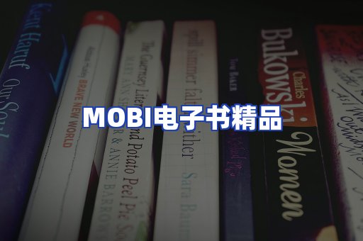 外文电子书产品